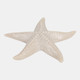 23740#S/3 7x7 Resin Sand Starfish Natural