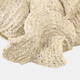 23784#14x8" Seashell Sand Texture Finish, Tan