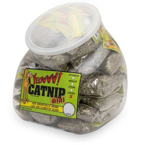 Jug w/50 Catnip Minis