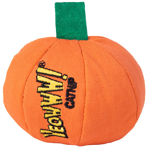 Yeowww!-loween Pumpkin