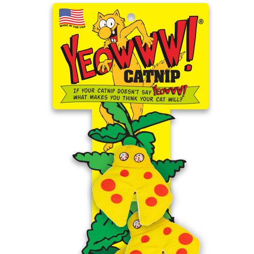 Display Strip w/12 Lady Krinkle Bugs