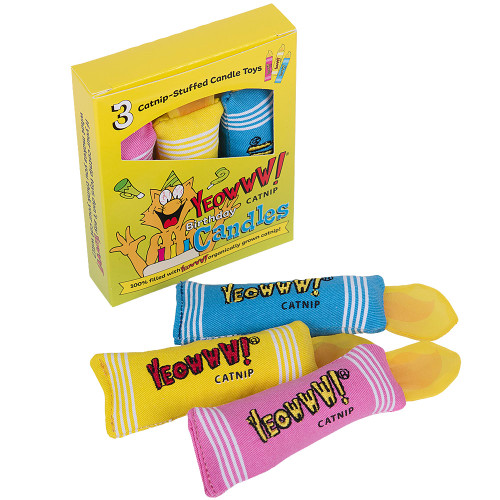 Birthday Candles