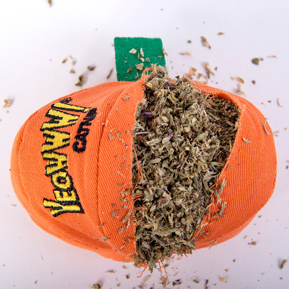Yeowww! Catnip Pumpkin
