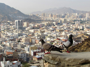 Aisha bint Abi Bakr: The Scholar Who Shaped Islam