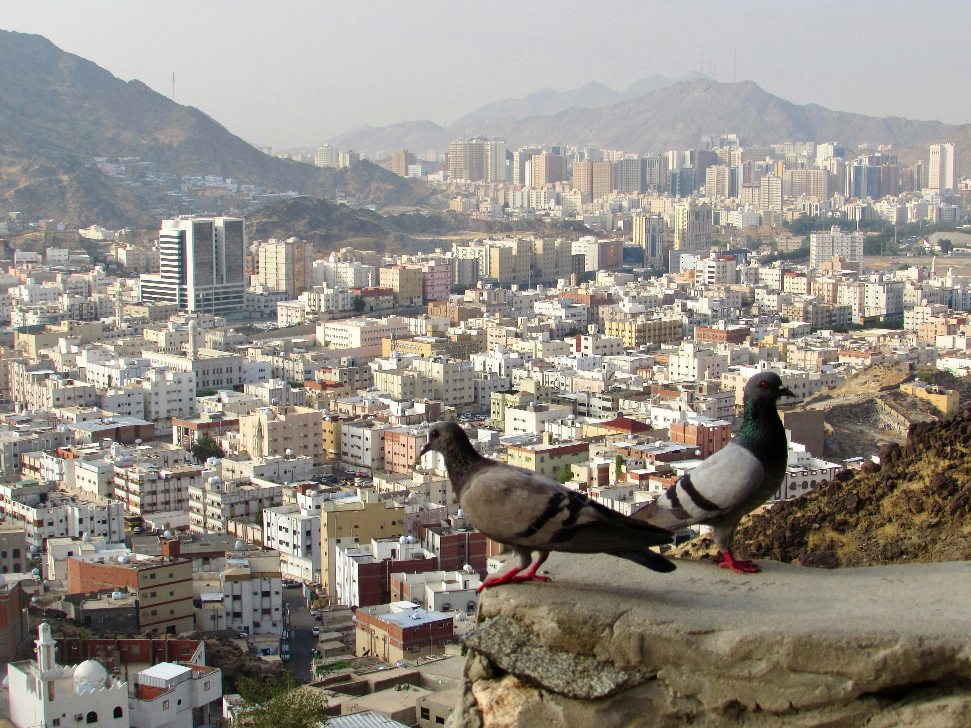 Aisha bint Abi Bakr: The Scholar Who Shaped Islam