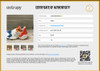 Adidas Harden Vol. 4 Pride Basketball Shoes FX4797 Multicolor Men's Size 11.5