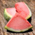 Watermelon Sorbet Wedges - 10 Per Box