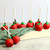 Red Apple Cake Pops Gift Set