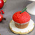 Red Apple  Cupcakes-12 Per Set