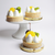 3" Fruit Individual Tarts- 8 Per Box