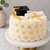 Vanilla Rose Graduation 2026! 7" Cake