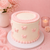 8" Baby Pink Ruffle and Bow Cake