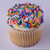 KOSHER FOR PASSOVER (NON-GEBRUCHTS) Large Sprinkle Cupcakes- 12 Per 9x13