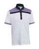 Ashworth Mens Blocked Polo