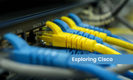 Exploring Cisco 37-0961-01 & 37-0961-03 Cable Features