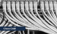 Insights on Cisco AIR-CAB005LL-R-N & CAB-25AS-MMOD