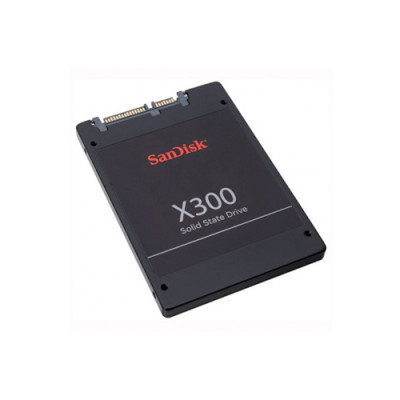 SanDisk X300 256GB TLC SATA 6Gbps 2.5 SSD for Internal Solid State Drive