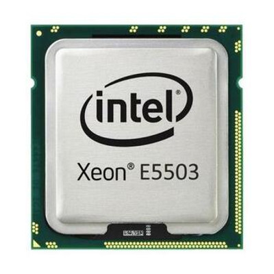 Intel Xeon E5503 - 2 GHz - 2 cores - 2 threads - 4 MB cache - for HPE ProLiant SL170s G6