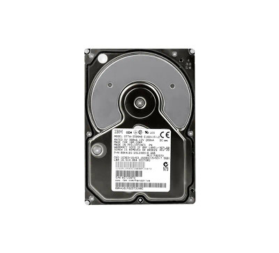 IBM 8GB 5400RPM ATA-33 3.5-inch Hard Drive compatible with servers
