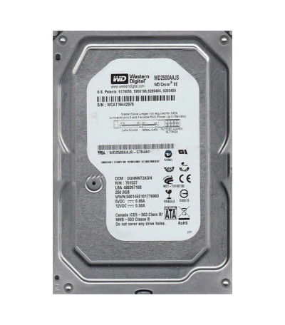 Western Digital Caviar Blue 250GB 7200RPM SATA 3GB/s Hard Drive for Desktops