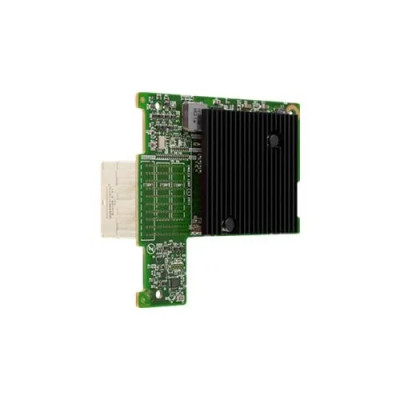Dell Emulex LPM16002 Dual-Port Fibre Channel 16GB/s Mezzanine Card for Dell Servers - 543-BBCW