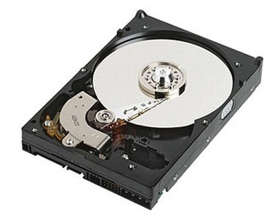 0B58199 - IBM 250GB 7200RPM SATA 3Gb/s 3.5" HDD
