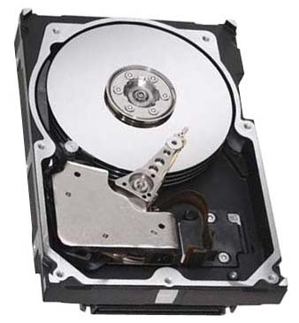 EMC 300GB 10000RPM Fibre Channel Hard Drive 3.5-Inch 16MB Cache - Compatible with Servers