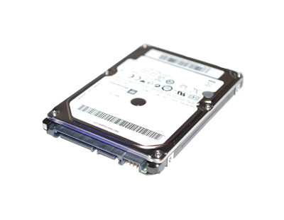 Seagate 300GB 15000RPM SAS 3Gb/s Hard Drive for Servers - SGSEP48628