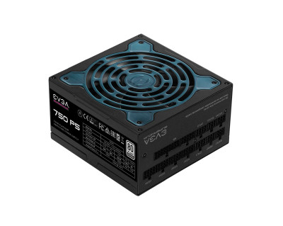 220-P5-0750-X1 - EVGA 750W 80-Plus Platinum ATX Power Supply
