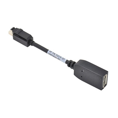 703216-001 - HP Mini DisplayPort to DisplayPort Adapter