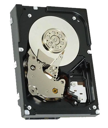 41Y8444 - IBM 300GB 10K RPM SAS 6Gb/s 2.5" HDD