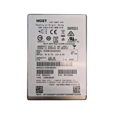 0B32231 - Hitachi 250GB SAS 12Gb/s 2.5" SSD