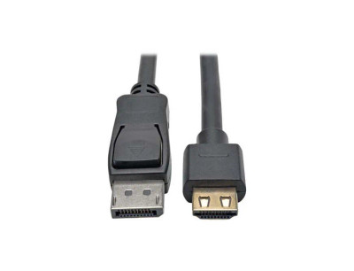 P582-010 - TRIPP LITE 10ft DisplayPort to HDMI Cable