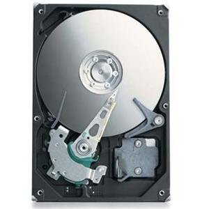 ST303204N1A1A-RK - Seagate 320GB 7200RPM IDE ATA-6 16MB HDD