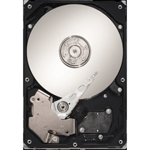 ST330005N1A1AS-RK - Seagate 3TB 7200RPM SATA 6Gb/s 64MB 3.5" HDD