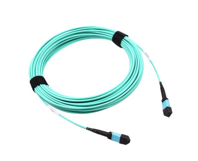 MTP12-FF-M1M - Juniper Networks MTP Female 12 Fiber MMF 1M Cable