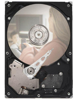 9GC132-193 - Seagate 320GB 5900RPM SATA 3.5" HDD