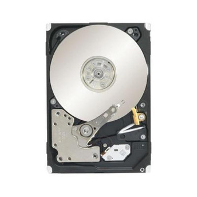 Seagate Constellation.2 1TB 7200RPM SAS 6Gb/s Hard Drive for Servers