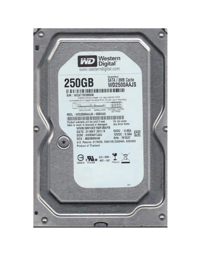 Western Digital Caviar Blue 250GB SATA Hard Drive 7200RPM 3.5-Inch 8MB Cache - Compatible with Servers