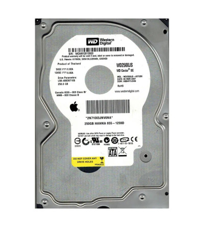 Western Digital Caviar SE 250GB 7200RPM SATA 3Gb/s 8MB Cache 3.5-Inch Hard Drive, compatible with servers