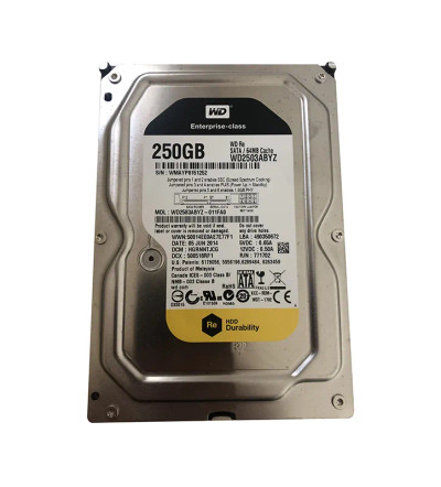 WD2503ABYZ-011FA0 - Western Digital RE 250GB 7200RPM Hard Drive