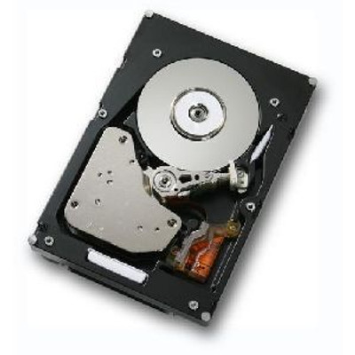 0B20854 - Hitachi Ultrastar 15K147 147GB 15000RPM Fibre Channel 4Gbps 16MB Cache 3.5-inch Internal Hard Drive