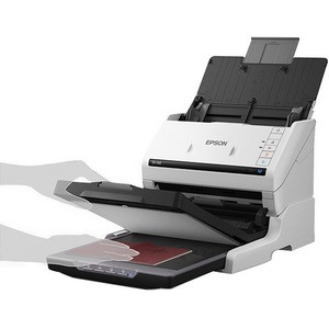 Epson Perfection V19 85 PPM Dock Flatbed Scanner - High-speed scanning for professional use
