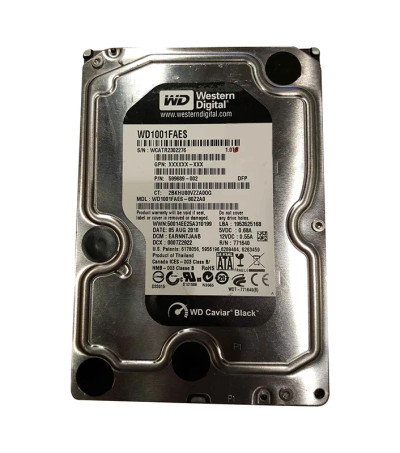 Western Digital Black 1TB SATA Hard Drive 7200RPM 64MB Cache 3.5-Inch - Compatible with servers