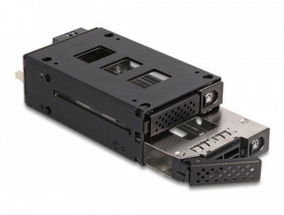 47019 - Delock 2x 2.5" U.2 NVMe Slim Bay Mobile Frame