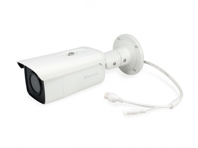 LevelOne IP Security Camera for Indoor & Outdoor Use - FCS-5092 - Compatible with CE standards