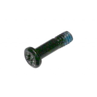 922-9654 - Apple 13" Rear Battery Torx T5 Screw