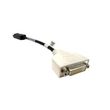 XT623 - Dell DisplayPort to DVI-D Single Link Video Adapter