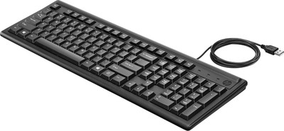 HP USB Keyboard English (US) Cable Connectivity for A8Z48AV Product - Compatible with HP devices