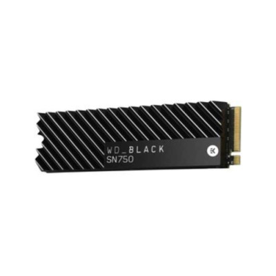 Western Digital BLACK SN750 1TB PCIe NVMe SSD with Heatsink for Gaming PCs